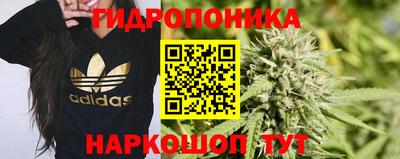 PSILOCYBIN Славянск-на-Кубани