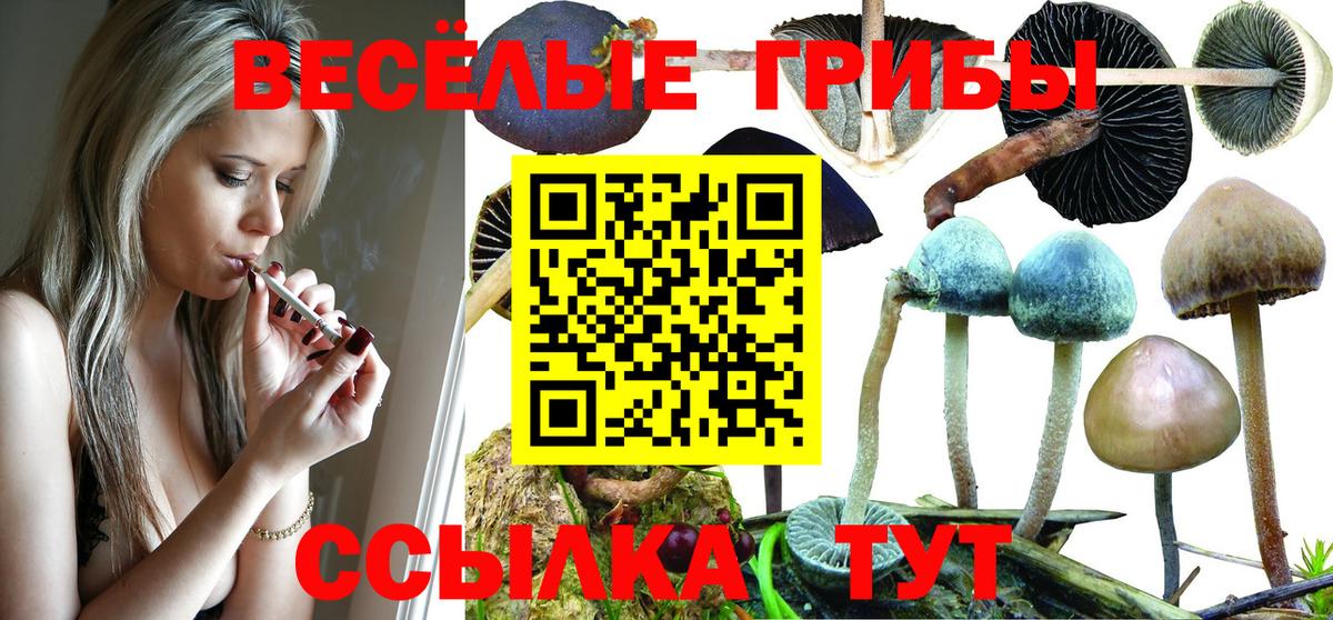 Нерюнгри  Галлюциногенные грибы GOLDEN TEACHER  Вход с VPN 